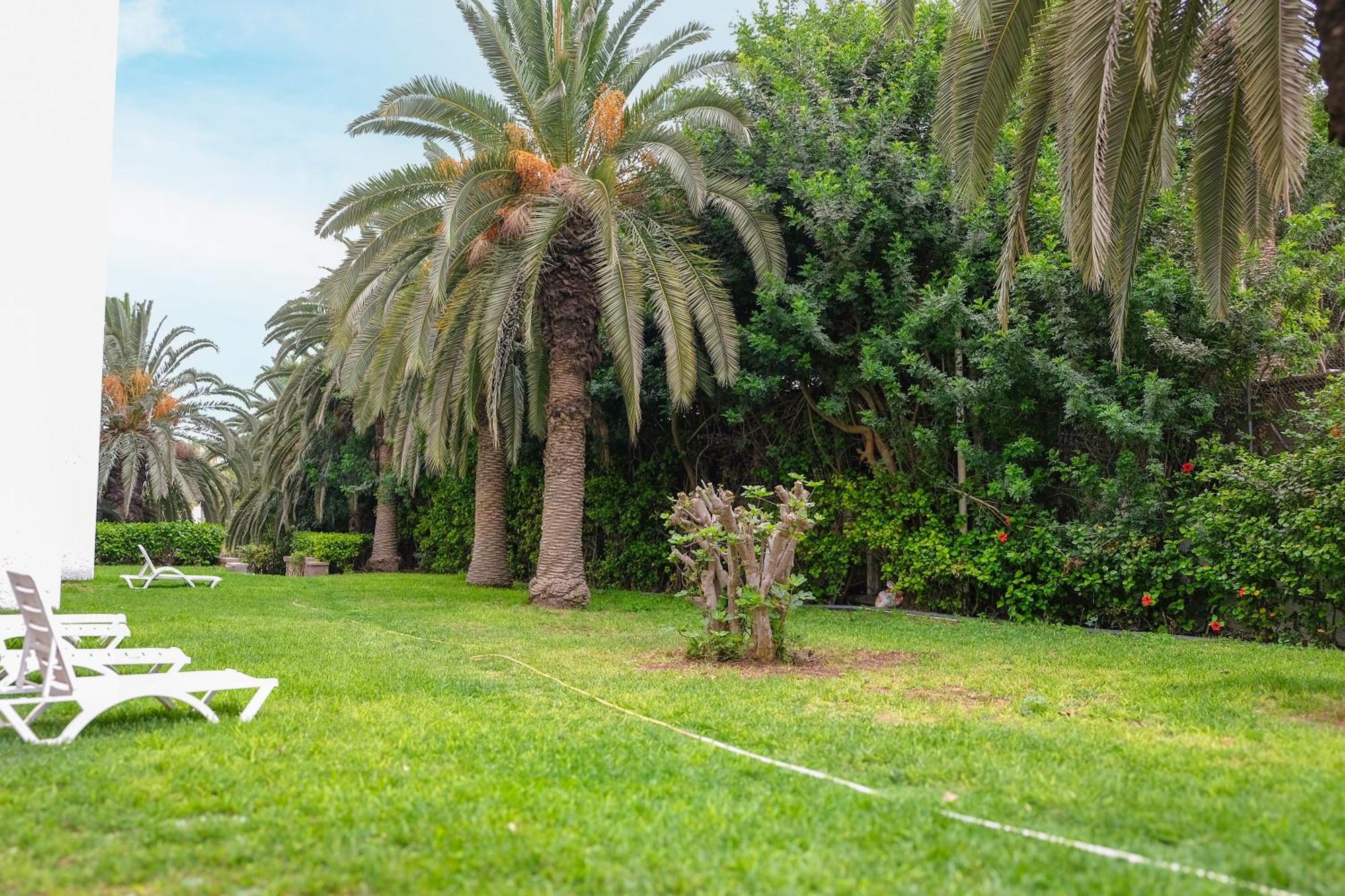 Hotel Hamilton Agadir Zewnętrze zdjęcie